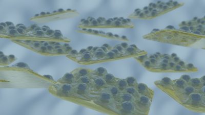 Semarion - SemaCyte release